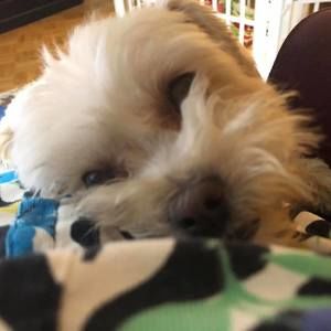 Meet your Posher, Vera